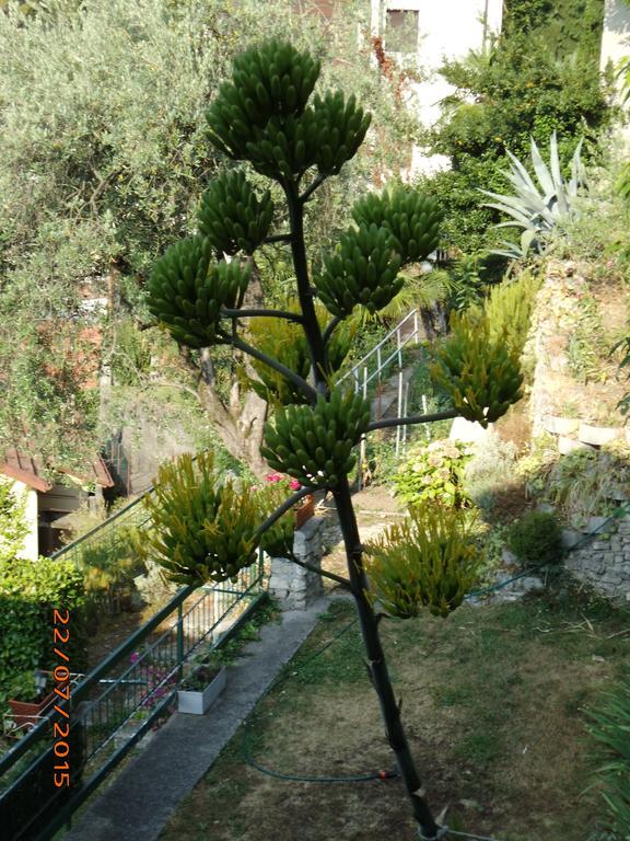 Villa Bianca فالسولدا المظهر الخارجي الصورة